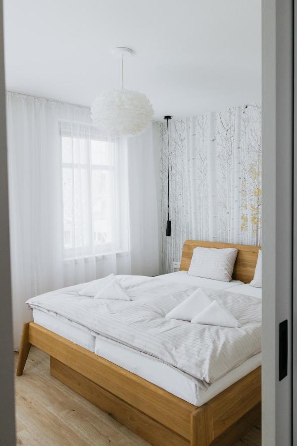 Apartament U Zlate Brizy Krusne Hory - Erzgebirge Horní Blatná Zewnętrze zdjęcie