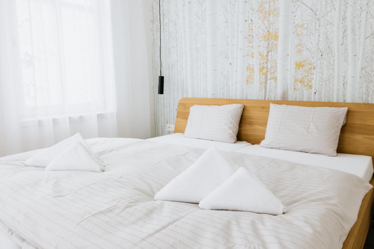 Apartament U Zlate Brizy Krusne Hory - Erzgebirge Horní Blatná Zewnętrze zdjęcie