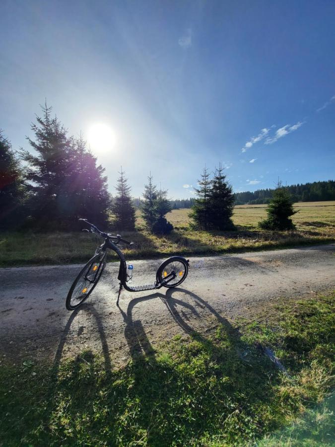 Apartament U Zlate Brizy Krusne Hory - Erzgebirge Horní Blatná Zewnętrze zdjęcie